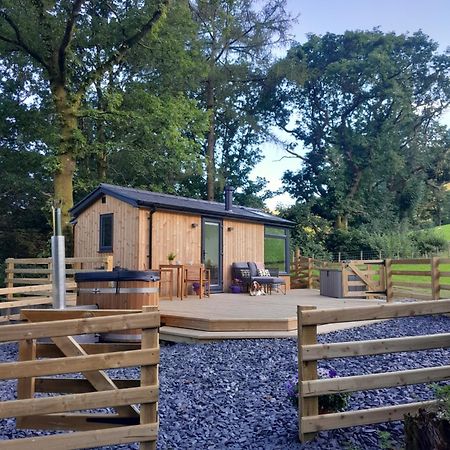 Llanymawddwy Ty Nant Gwenynヴィラ エクステリア 写真