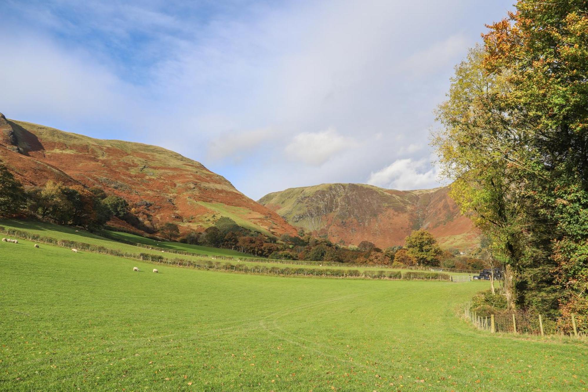 Llanymawddwy Ty Nant Gwenynヴィラ エクステリア 写真